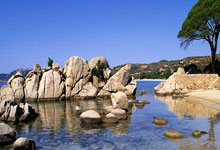 九游会-托特纳姆内部会议纪要流出——集结日门线救险，葡超使命明确，高层口径保持一致的简单介绍